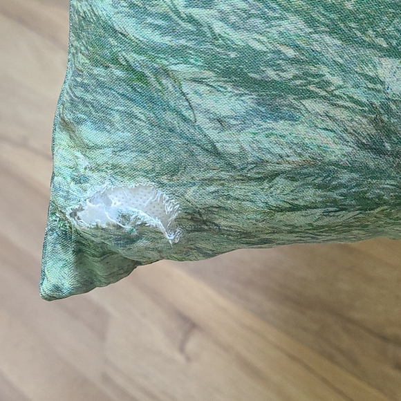 Pillow & Cover - Picture 3 of 5